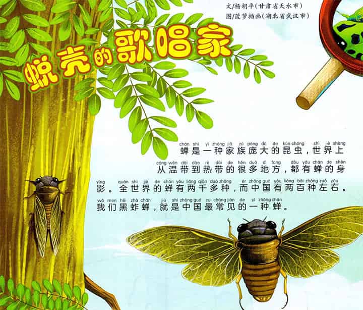 蜕壳的歌唱家