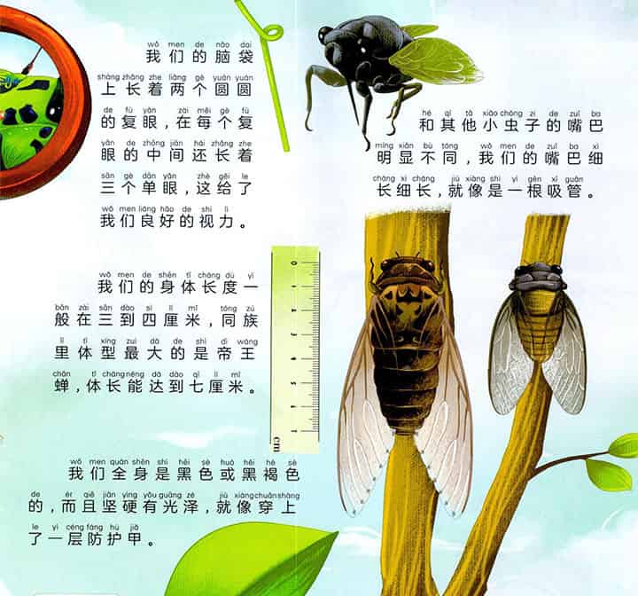 蜕壳的歌唱家