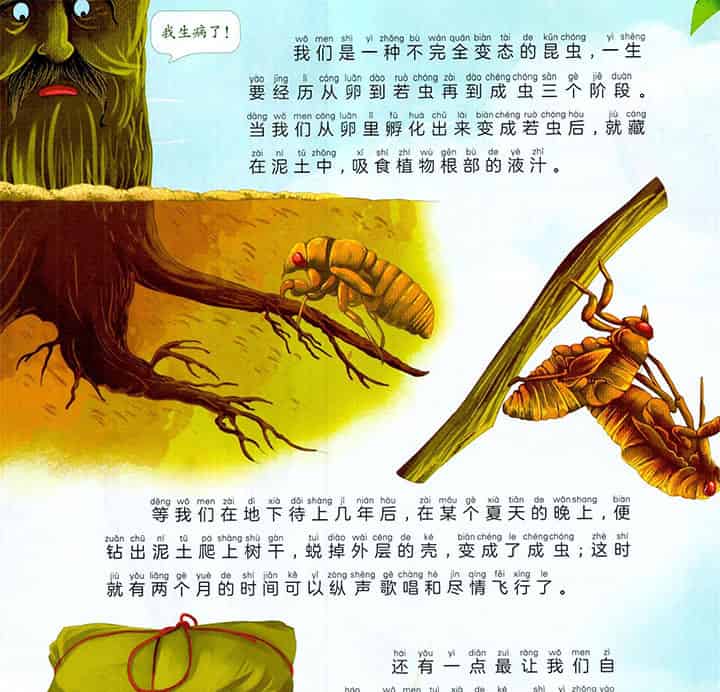 蜕壳的歌唱家