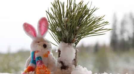 天上来的雪娃娃