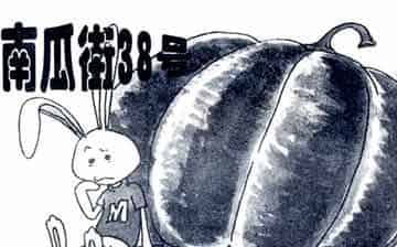 南瓜镇南瓜街38号 南瓜镇南瓜街38号