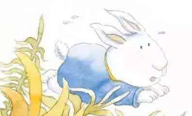 开拖拉机的贝可