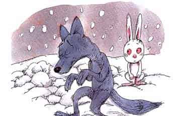 玩雪的兔子