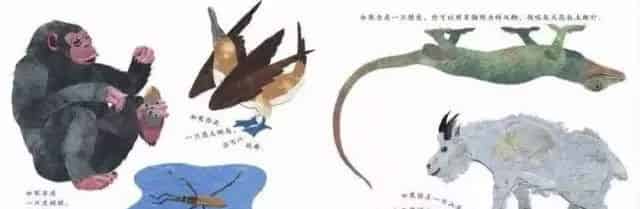 这样的鼻子可以做什么？