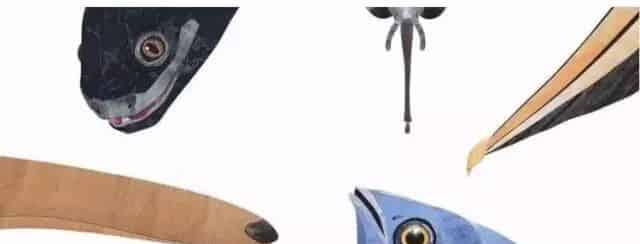 这样的鼻子可以做什么？