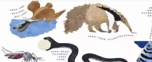 这样的鼻子可以做什么？