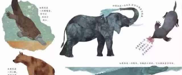 这样的鼻子可以做什么？