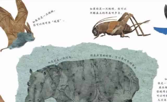 这样的鼻子可以做什么？