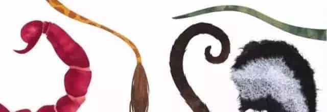 这样的鼻子可以做什么？