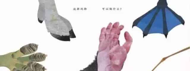 这样的鼻子可以做什么？