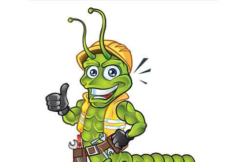 多脚先生想说什么