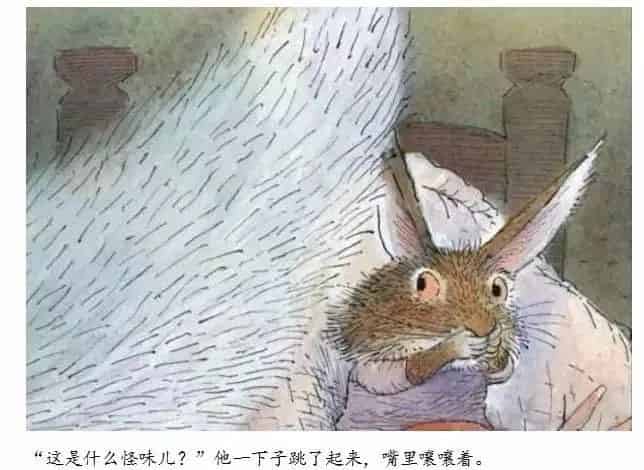 小兔温尼想换个地方睡觉