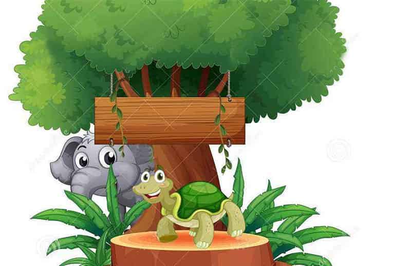 乌龟和大象比力气