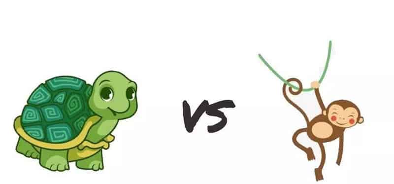 乌龟和大象比力气