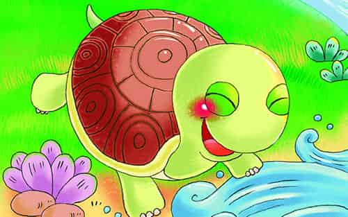 大灰狼与小乌龟