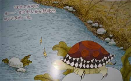 老乌龟和小鸟