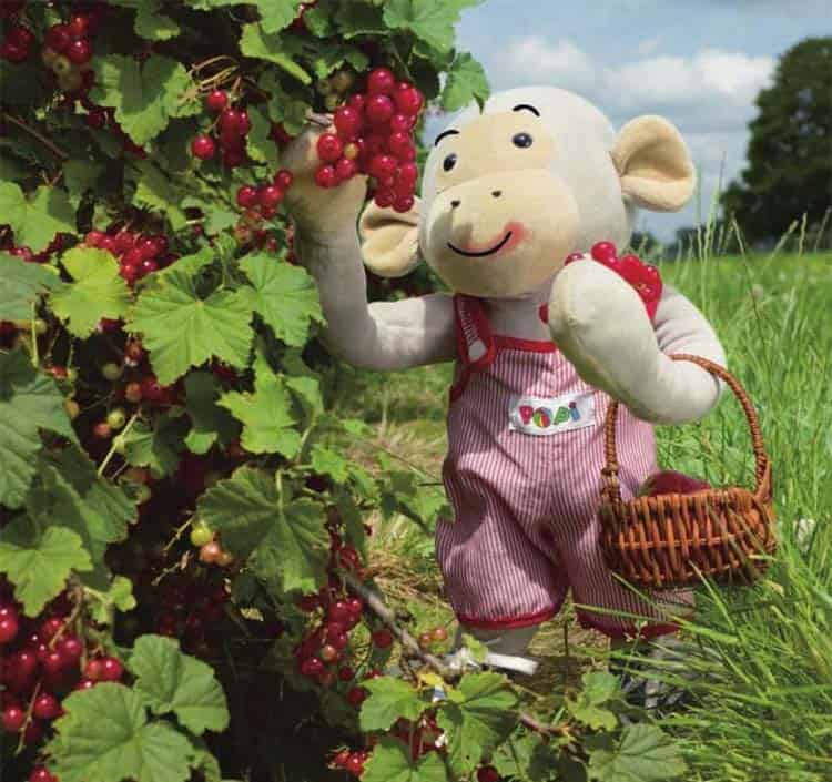 喜爱红色的波比