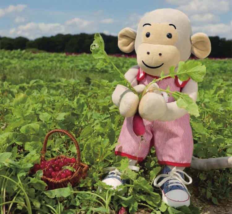 喜爱红色的波比