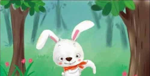 小白兔迷路了