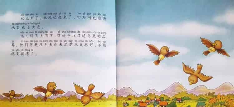 一根刺的小刺猬