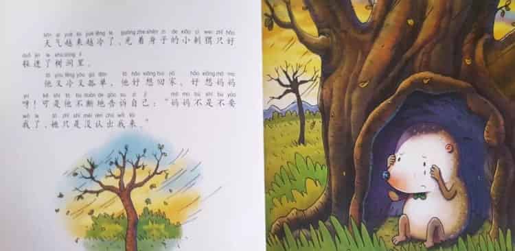 一根刺的小刺猬