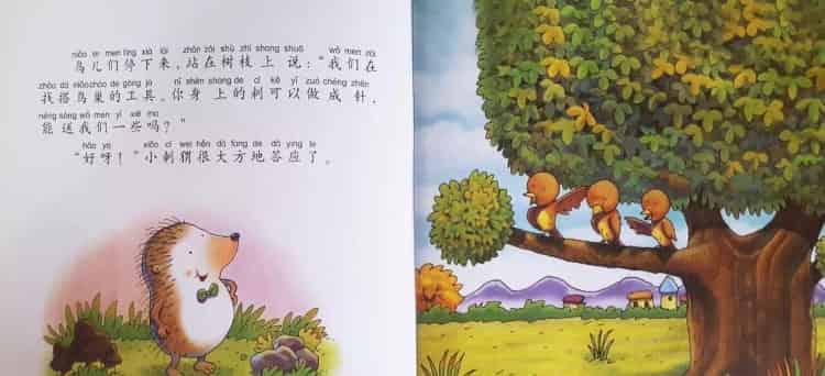 一根刺的小刺猬