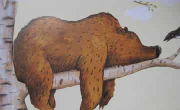 一只想当爸爸的熊 一只想当爸爸的熊