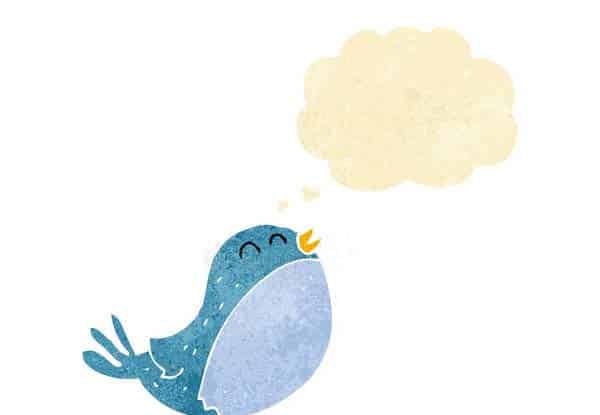 喜欢安静也喜欢唱歌的鸟