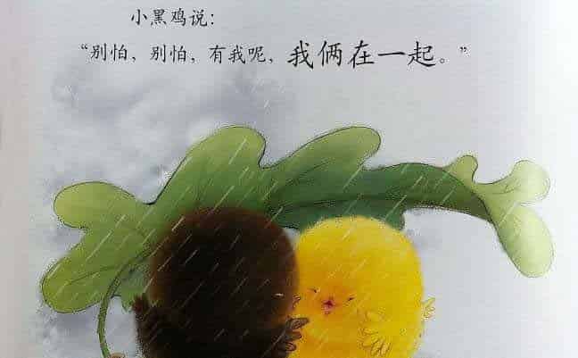 小黄鸡和小黑鸡