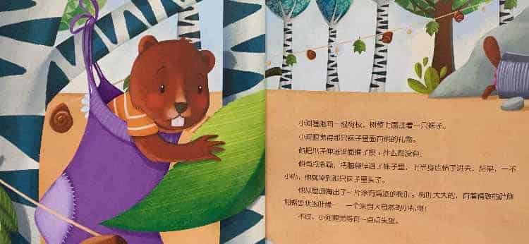 小河狸的惊喜礼物