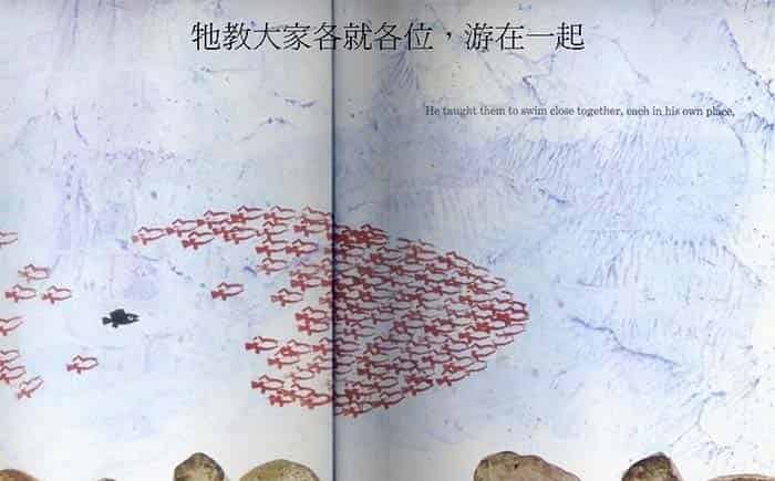 小黑鱼