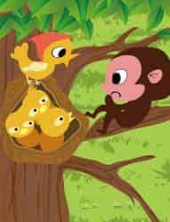 不爱睡觉的小猴子