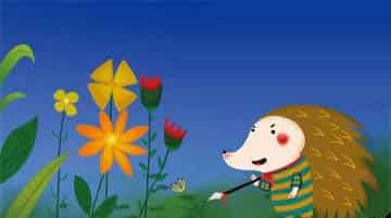 月光下的小刺猬