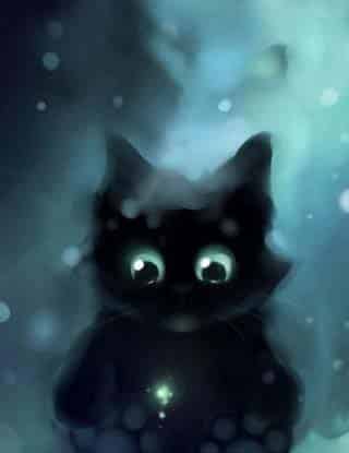 小黑猫帮助了别人，心里美美的！