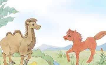小骆驼和小红马