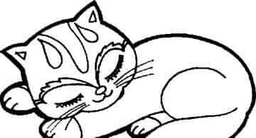 小猫米姆