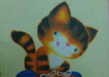 小猫咪穿鞋子