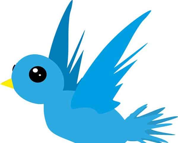 夏日里的小小风