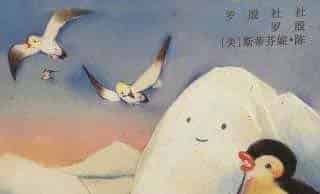 小企鹅和小冰山