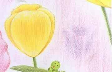 小青虫和他的梦