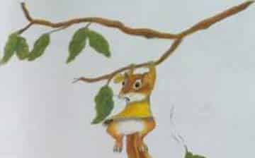 小松鼠的训练课