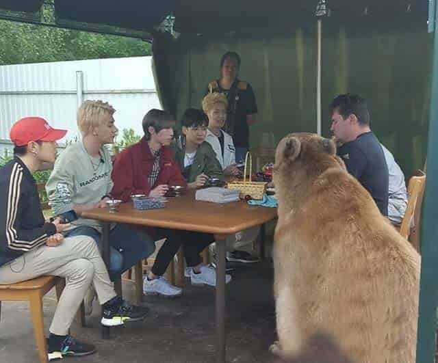 城里来了一只小熊