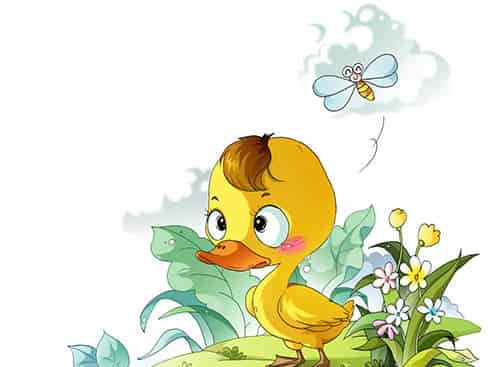 自以为是的小鸭子