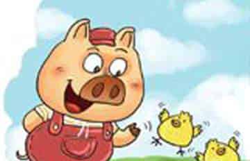 留给鸡妈妈的阳光