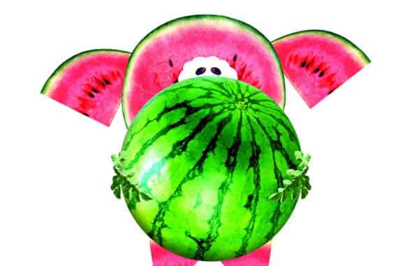 胖小猪运西瓜