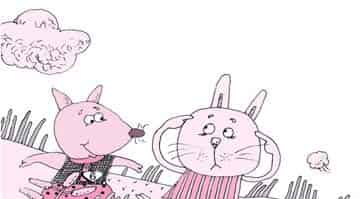 跟着月亮猪走的鼷鹿