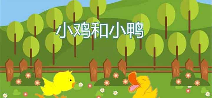 小鸡和小鸭 小鸡和小鸭