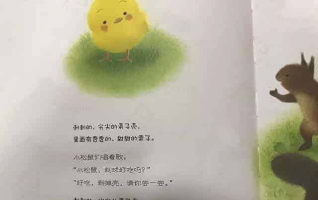 小鸡球球和小刺猬