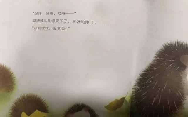 小鸡球球和小刺猬