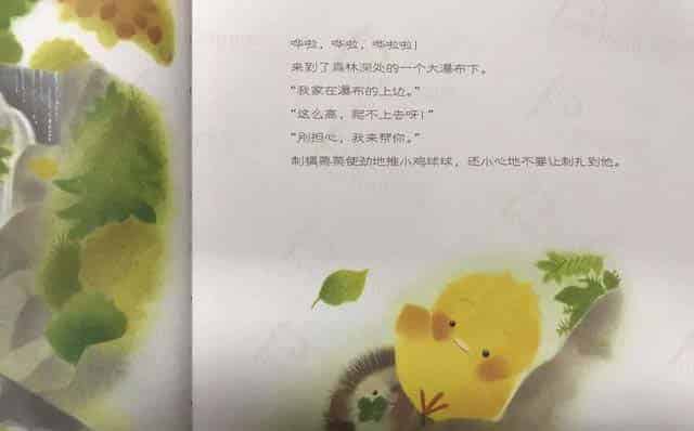 小鸡球球和小刺猬